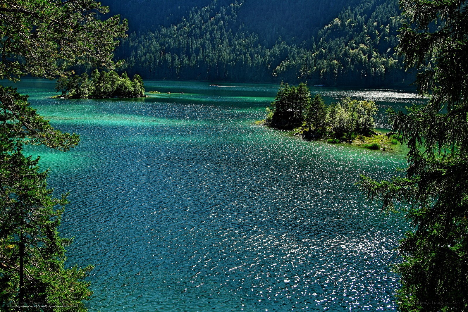 Turquoise lake in forest