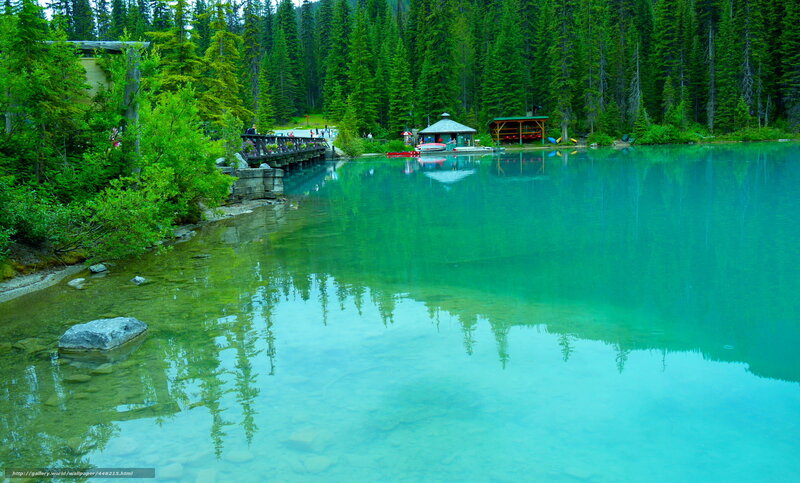 Turquoise lake in forest
