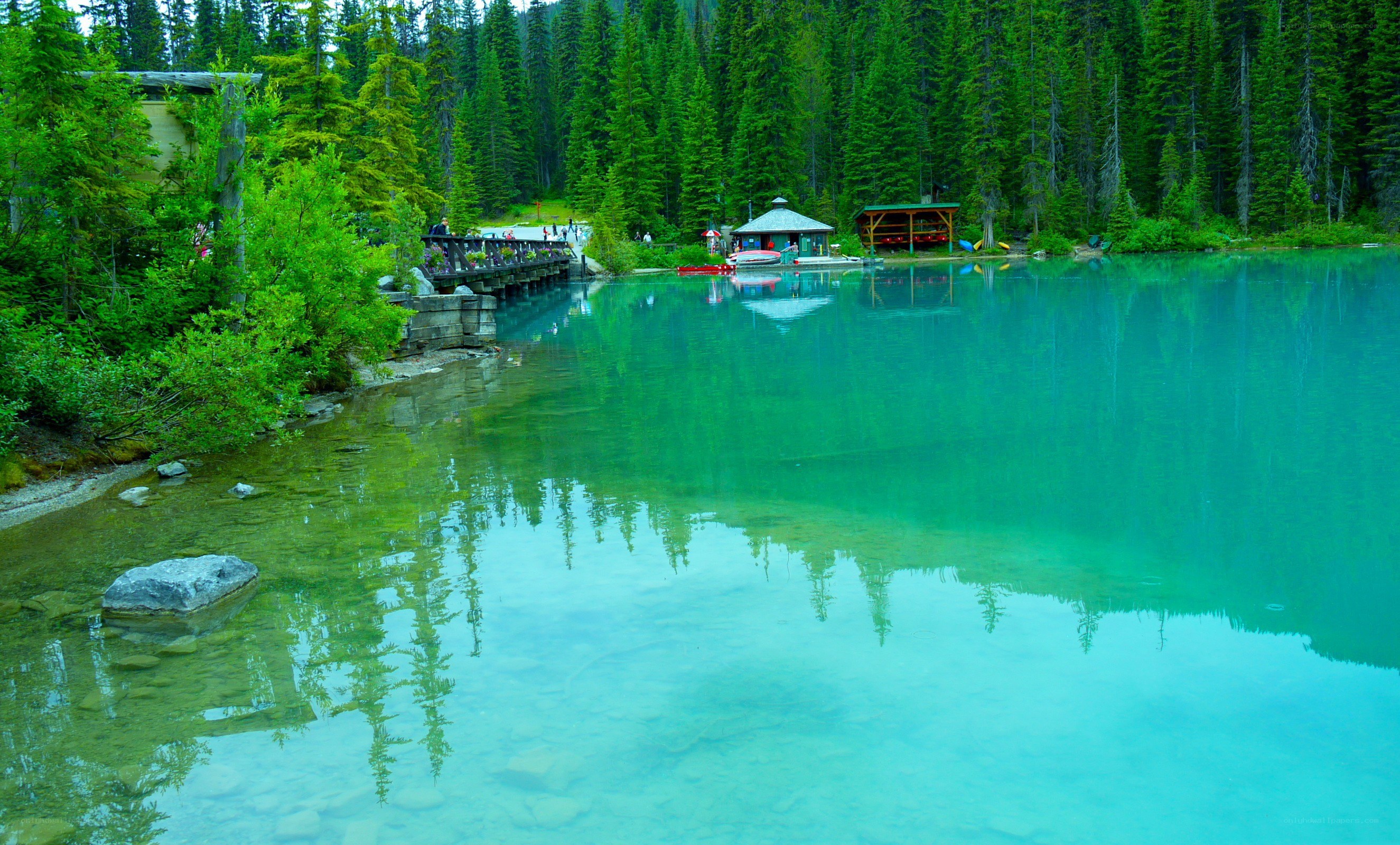 Turquoise lake in forest