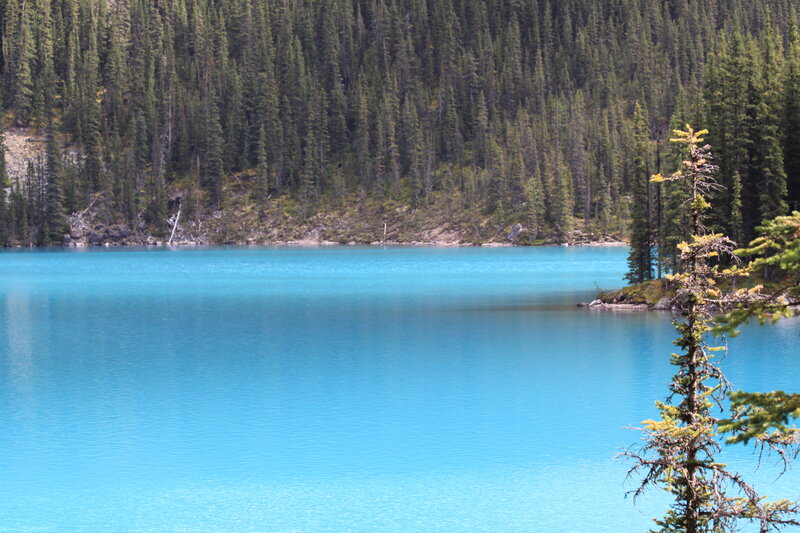Turquoise Lake in Forest — Blue, Serene, Afternoon