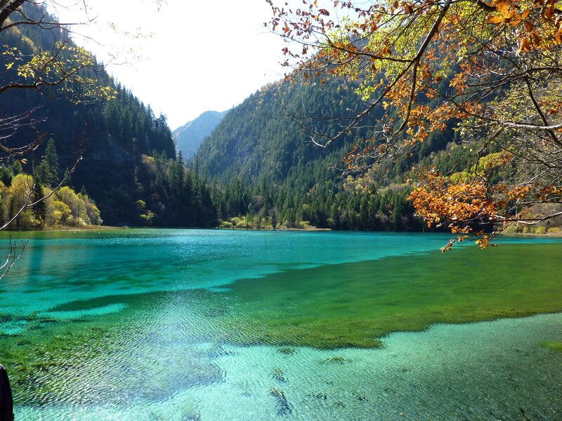 Turquoise Lake in Forest — Blue, Serene, Autumn, Photograph
