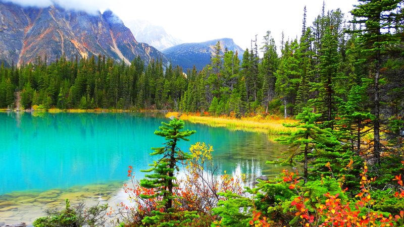 Turquoise Lake in Forest — Blue, Serene, Autumn