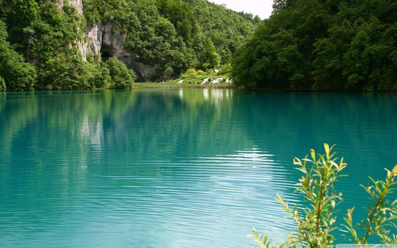 Turquoise Lake in Forest — Blue, Serene