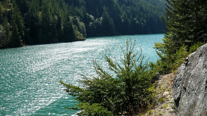 Turquoise Lake in Forest — Green, Serene, Afternoon