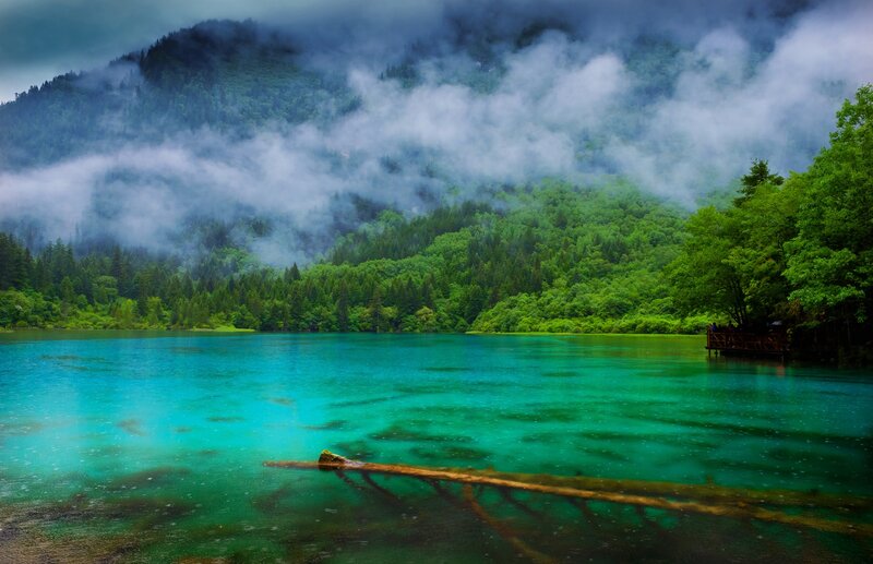 Turquoise Lake in Forest — Green, Serene, Morning