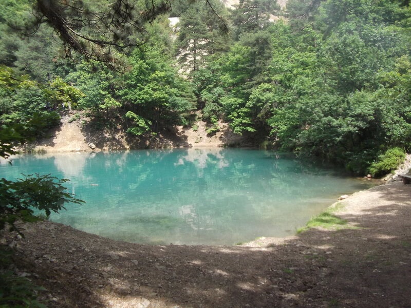 Turquoise Lake in Forest — Green