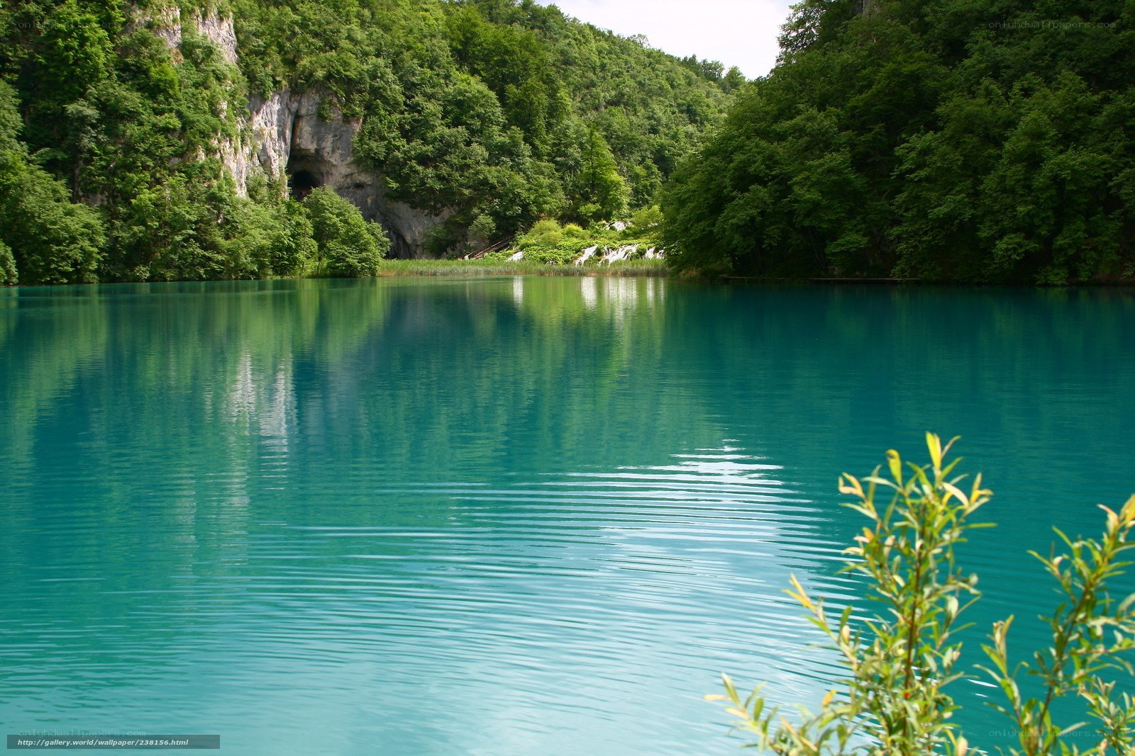 Turquoise lake in forest