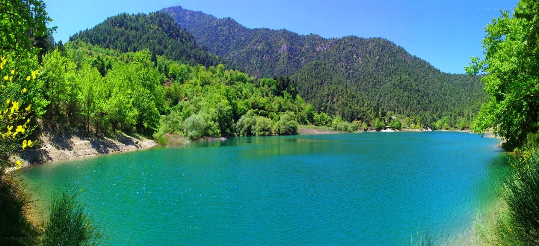 Turquoise lake in forested mountains