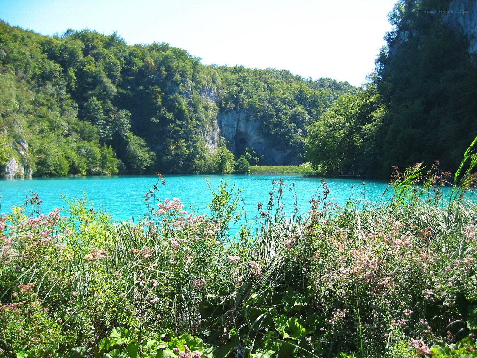 Turquoise lake in forested valley