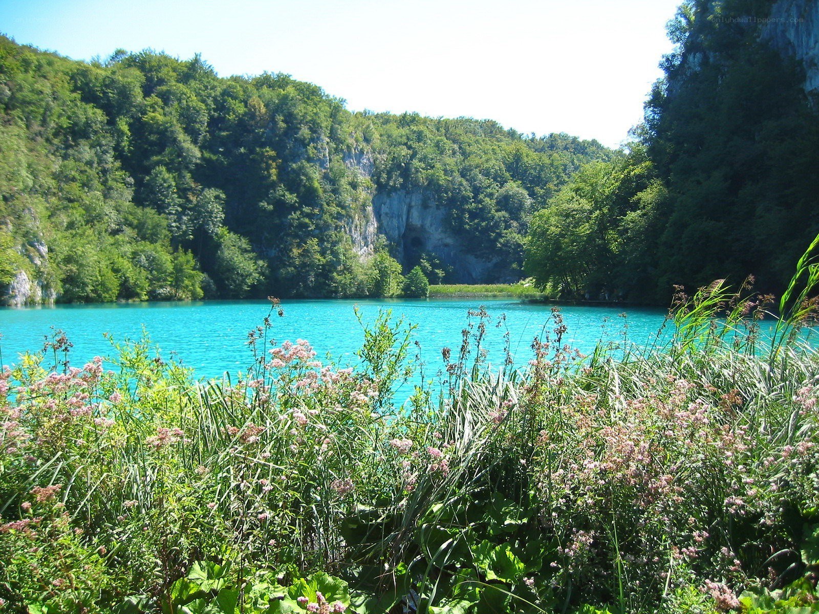 Turquoise lake in forested valley