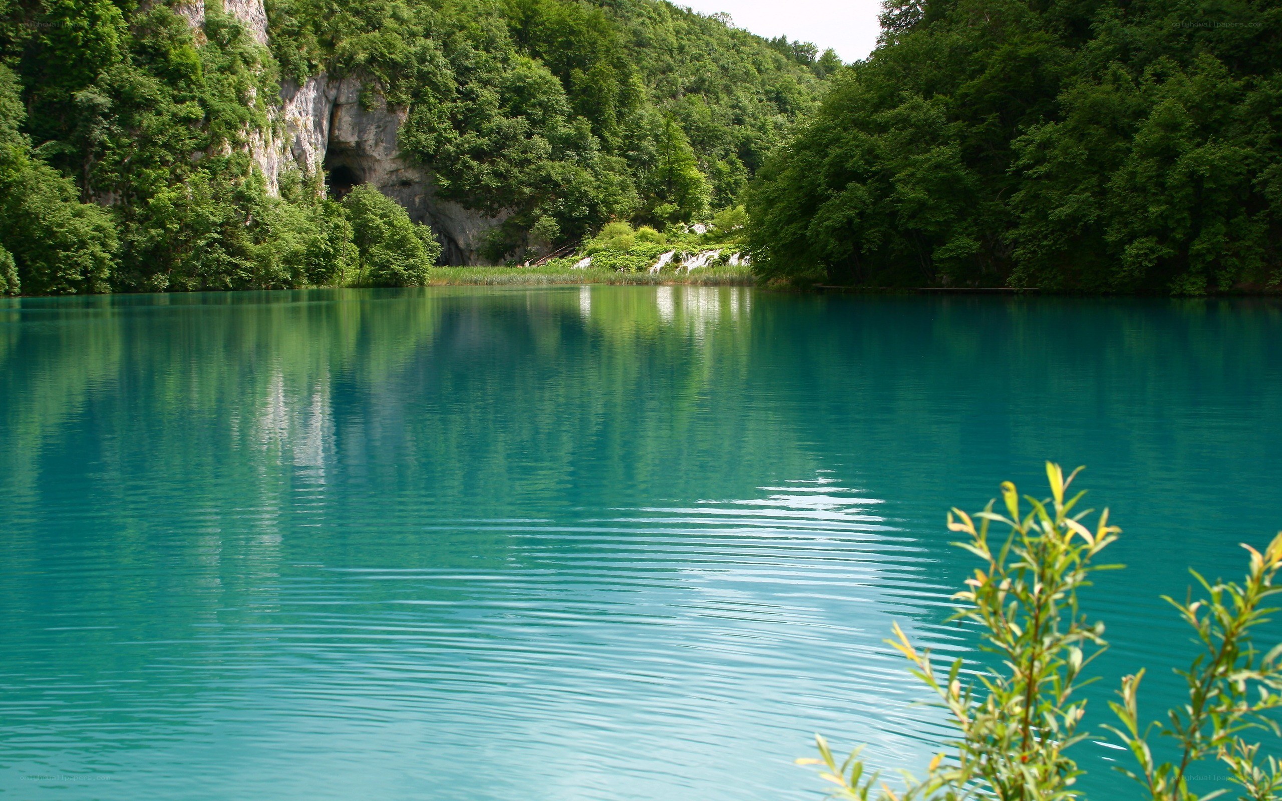 Turquoise lake in forested valley
