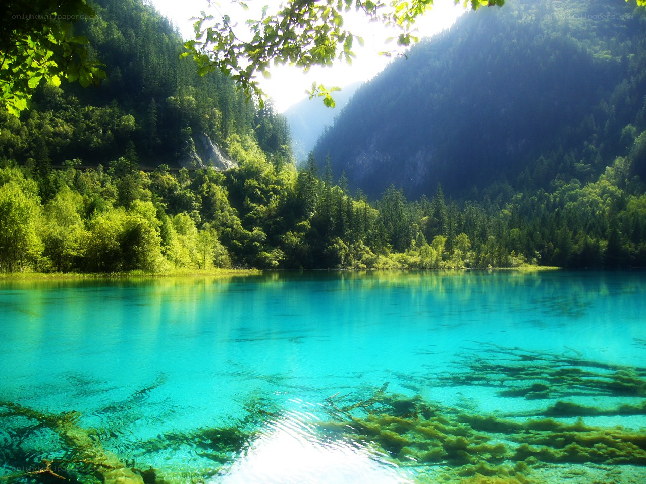 Turquoise lake in forested valley