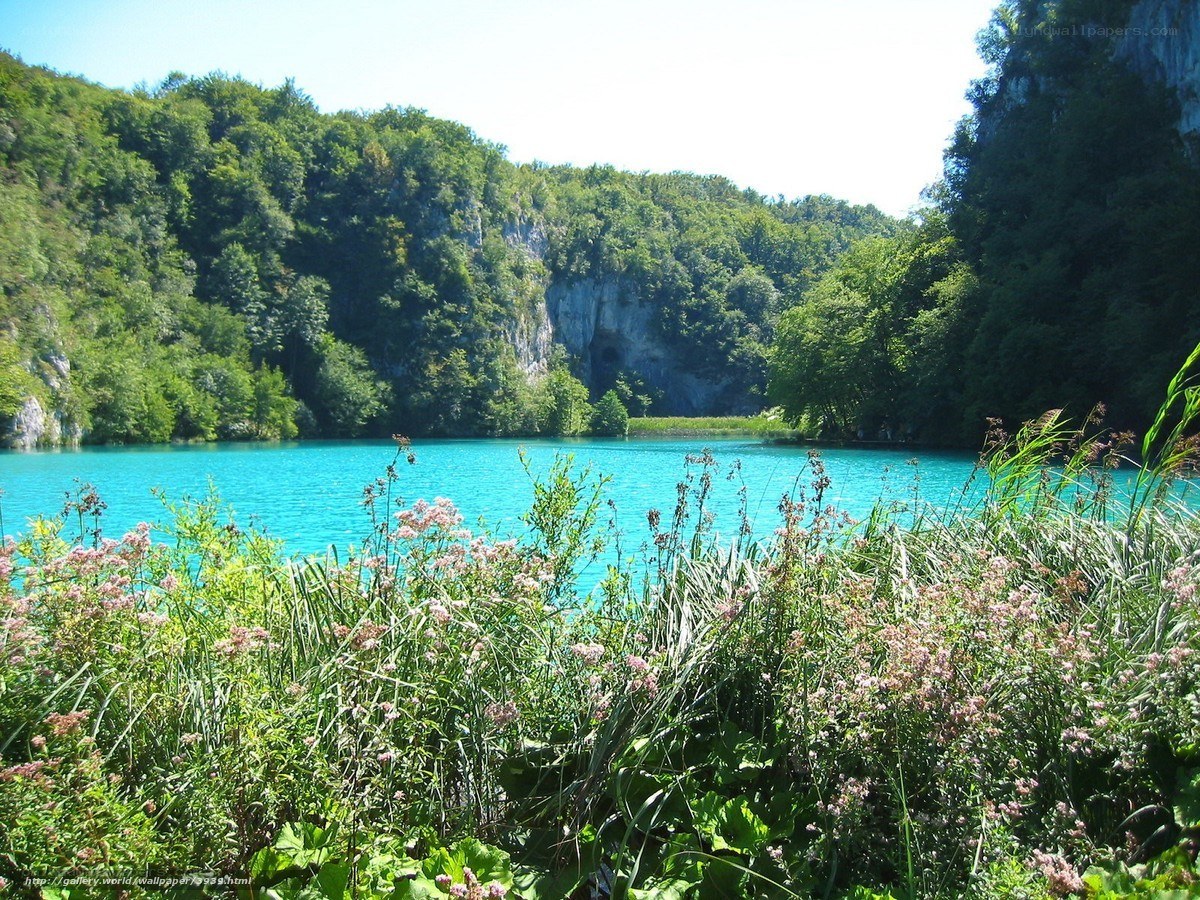 Turquoise lake in forested valley