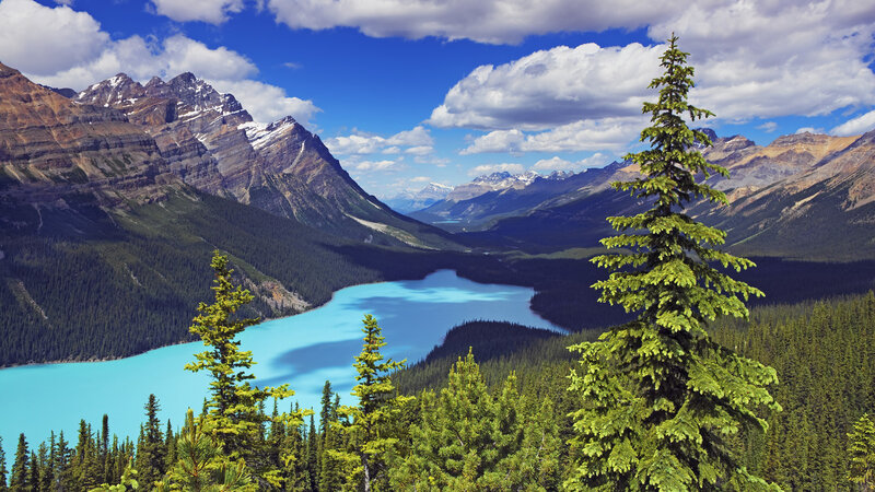 Turquoise Lake in Mountains — Blue, Serene, Afternoon, Photograph, Pine Trees, Clouds