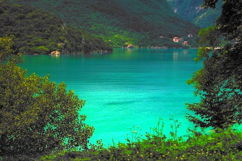 Turquoise lake surrounded by forest