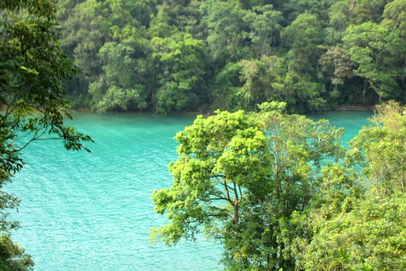 Turquoise Lake Surrounded by Trees