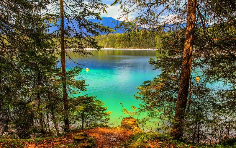 Turquoise Lake Through Trees — Blue