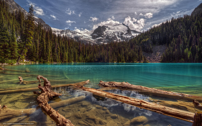 Turquoise Lake with Driftwood — Blue