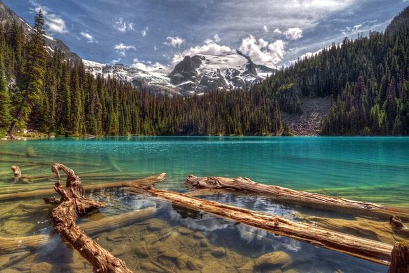Turquoise Lake with Driftwood