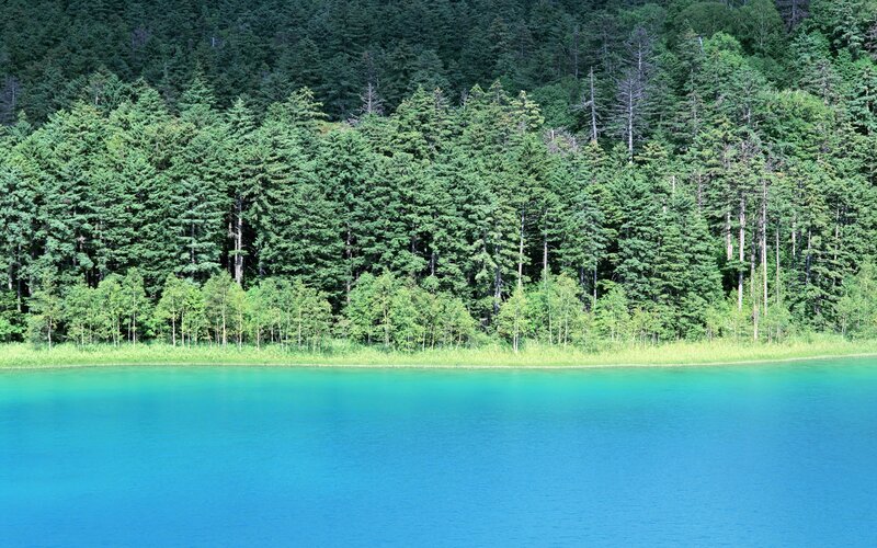 Turquoise lake with forest