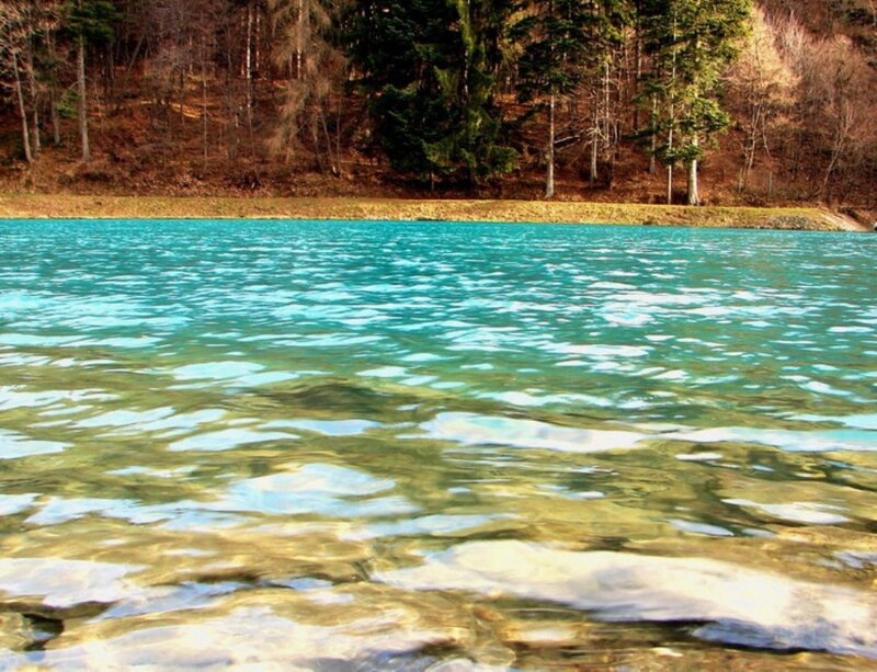 Turquoise lake with forest background