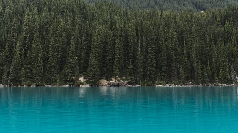 Turquoise Lake with Forest — Blue