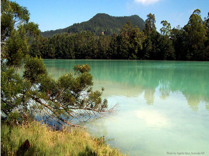 Turquoise Lake with Forest — Green