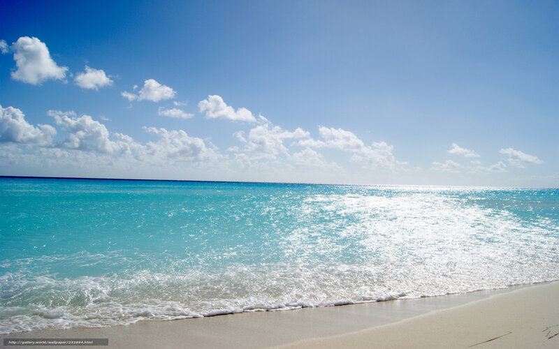 Turquoise Ocean Waves — Blue, Serene