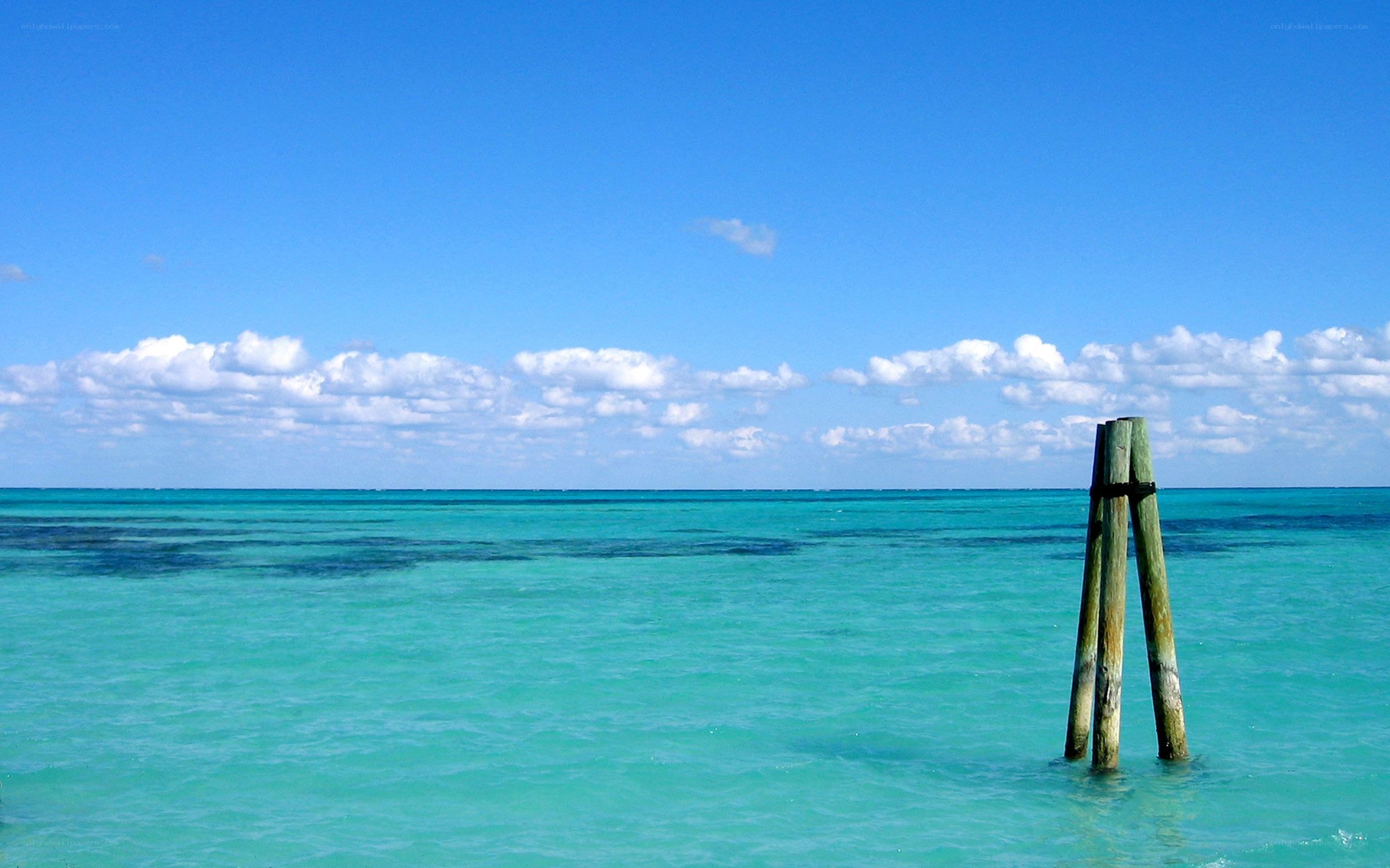 Turquoise ocean with wooden posts