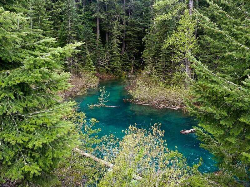 Turquoise Pond in Forest