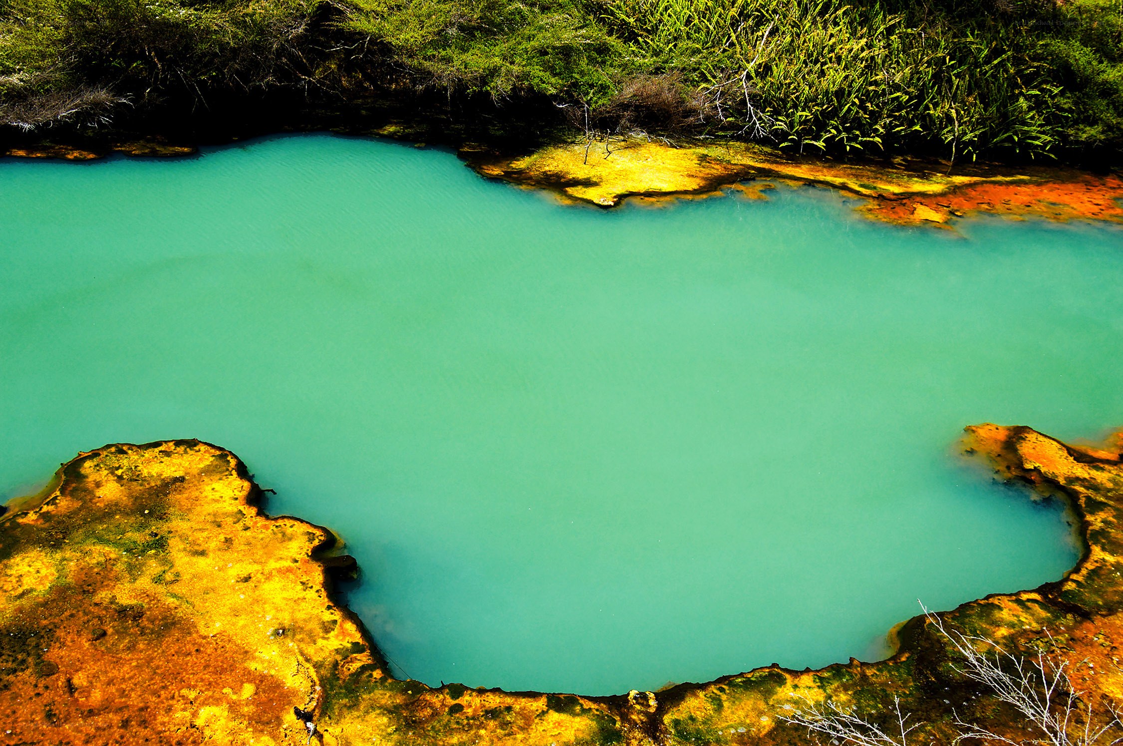 Turquoise pool with mineral deposits