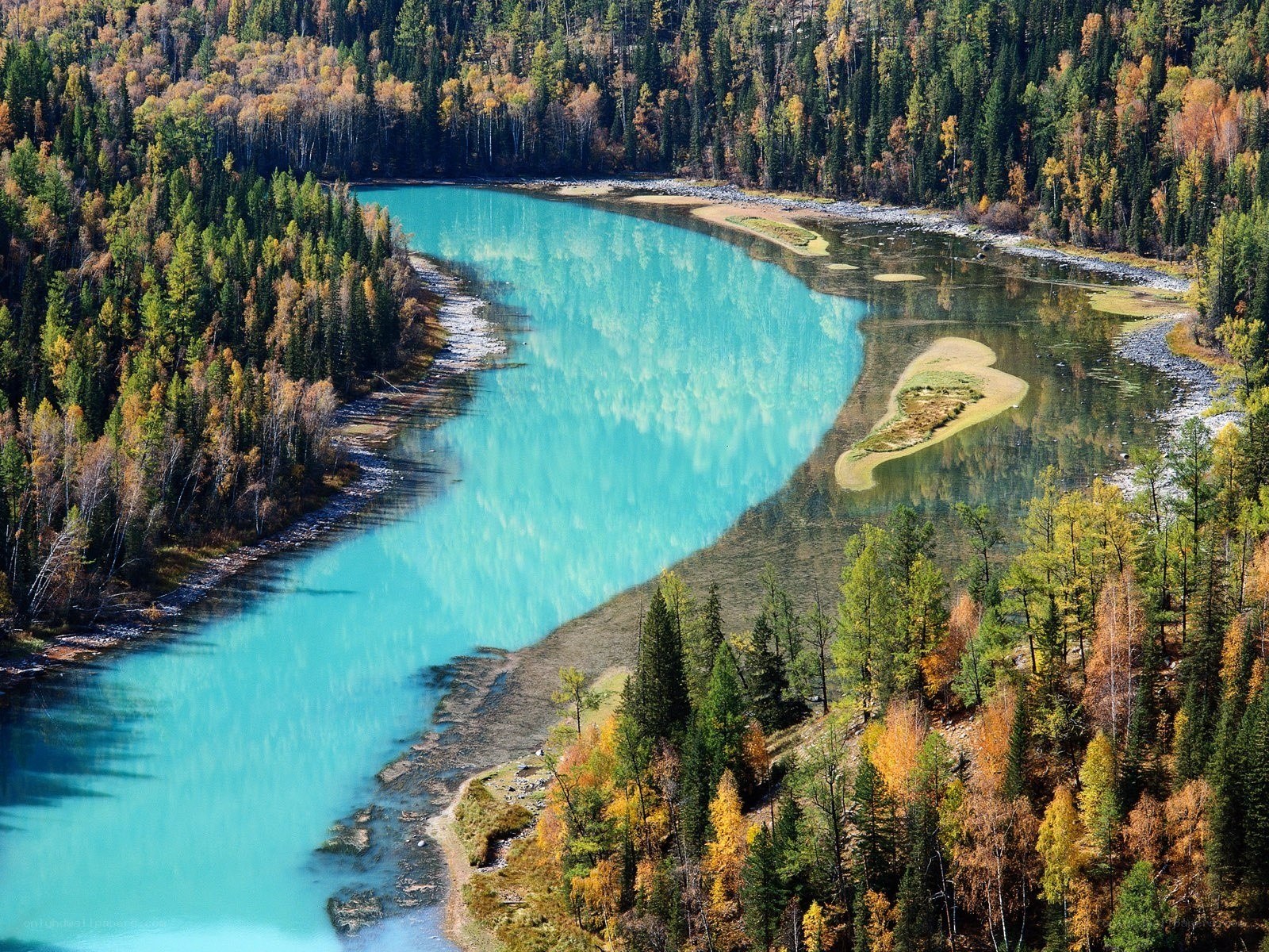 Turquoise river in autumn forest