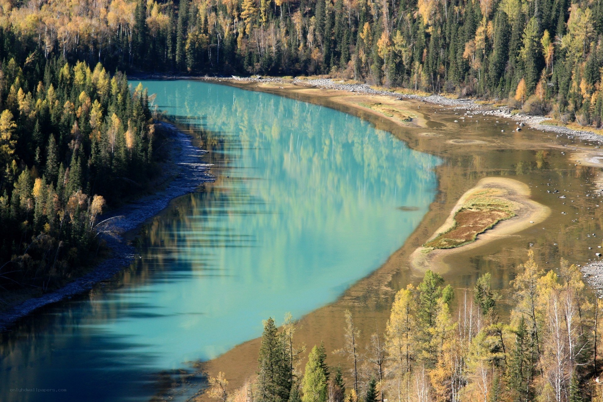 Turquoise river in autumn forest