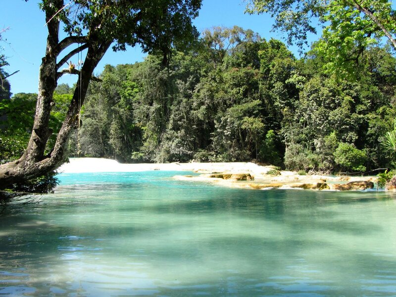 Turquoise River in Forest