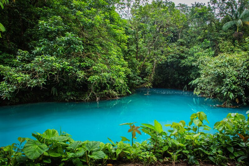 Turquoise River in Jungle — Blue, Serene
