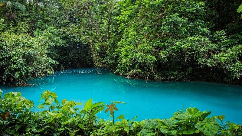 Turquoise River in Jungle — Blue