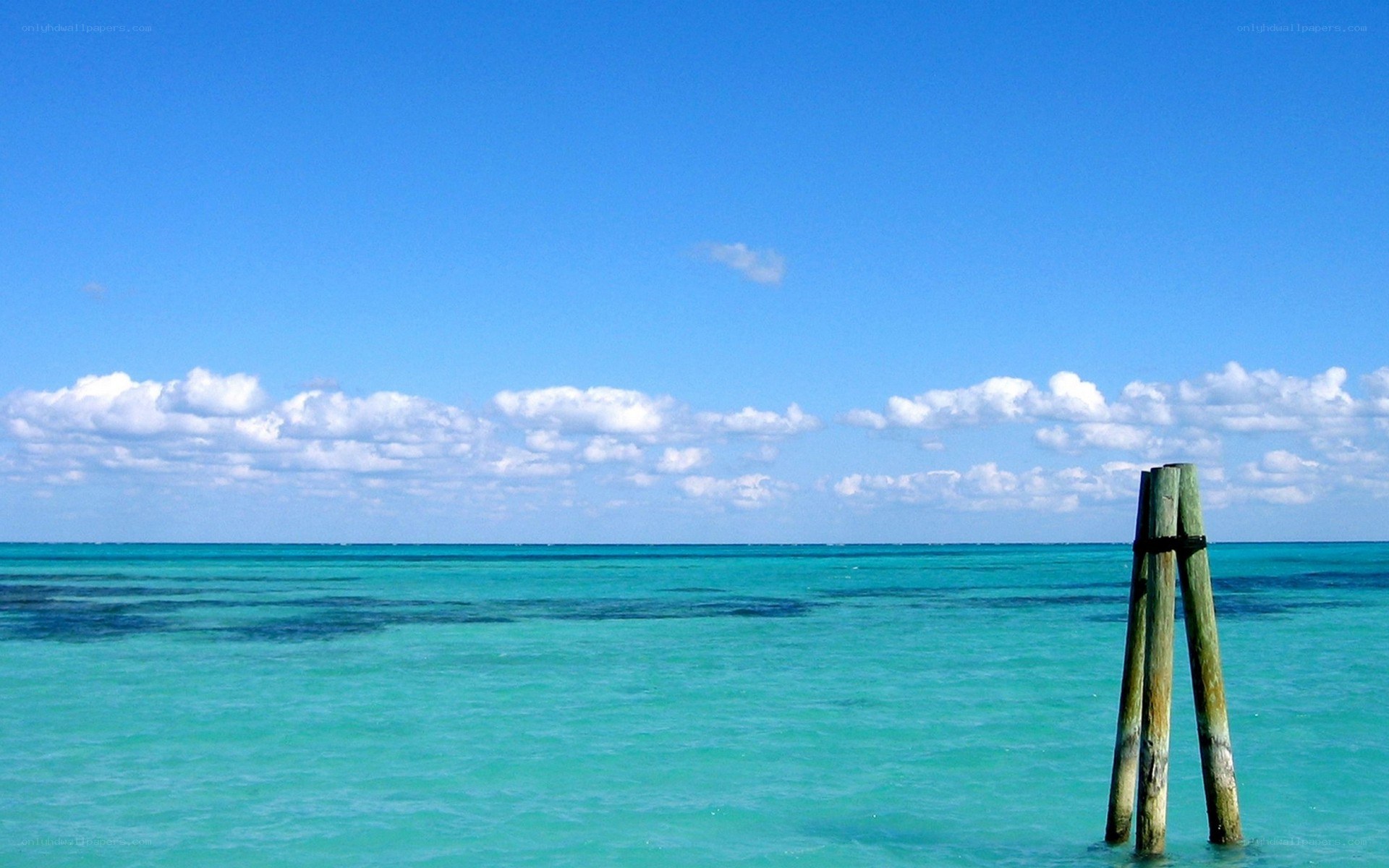 Turquoise sea with wooden posts
