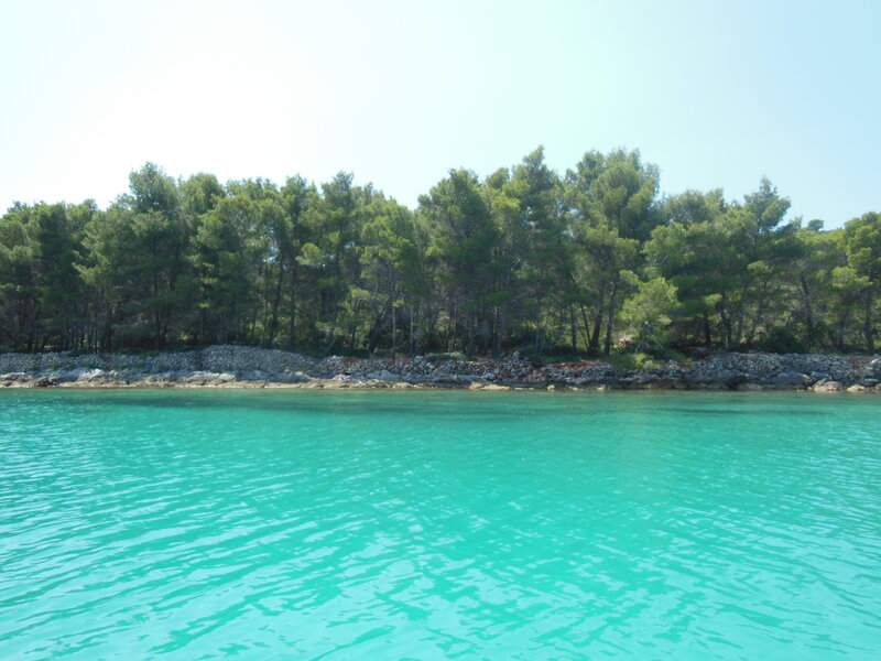 Turquoise Water and Trees