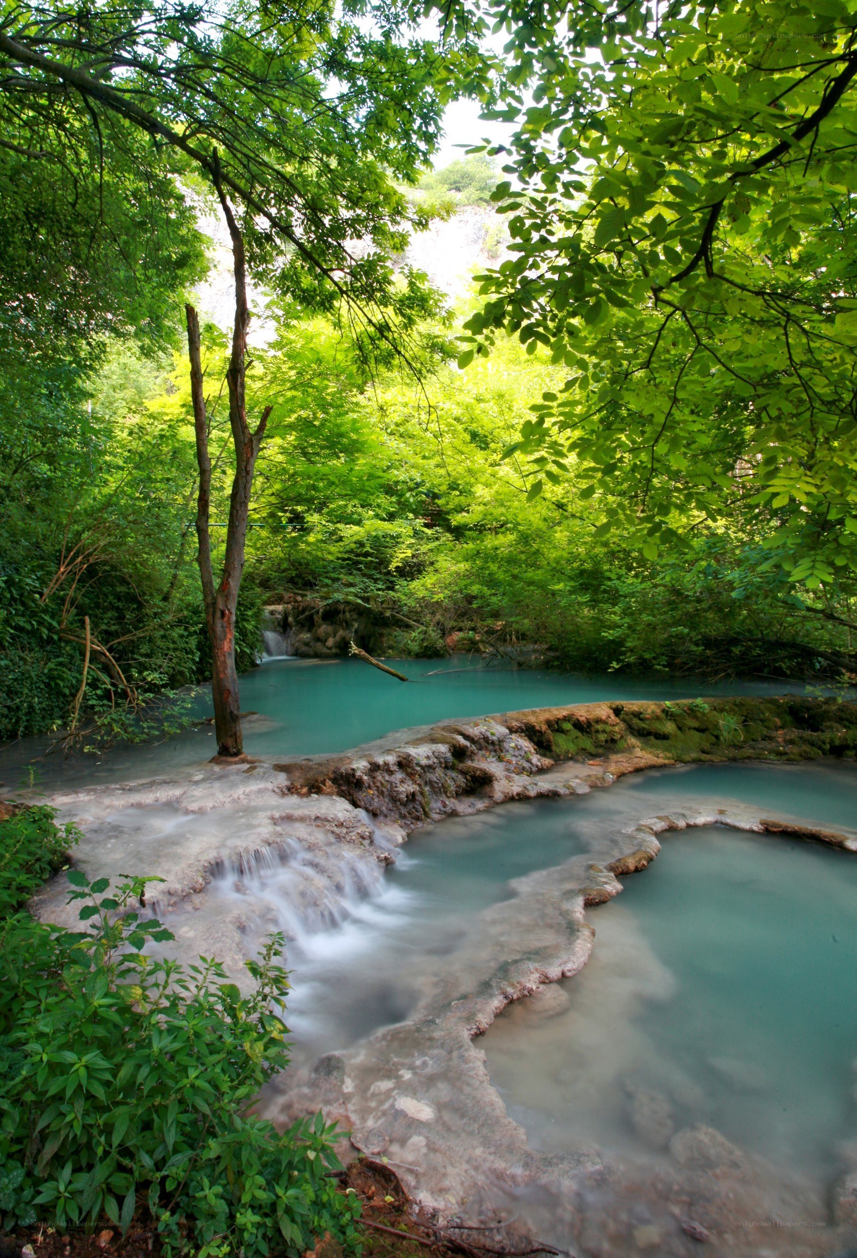 Turquoise waterfall in forest