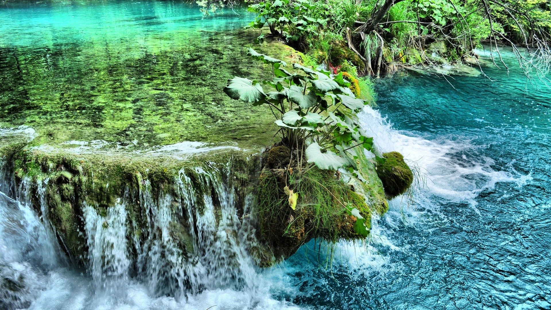 Turquoise waterfall in forest