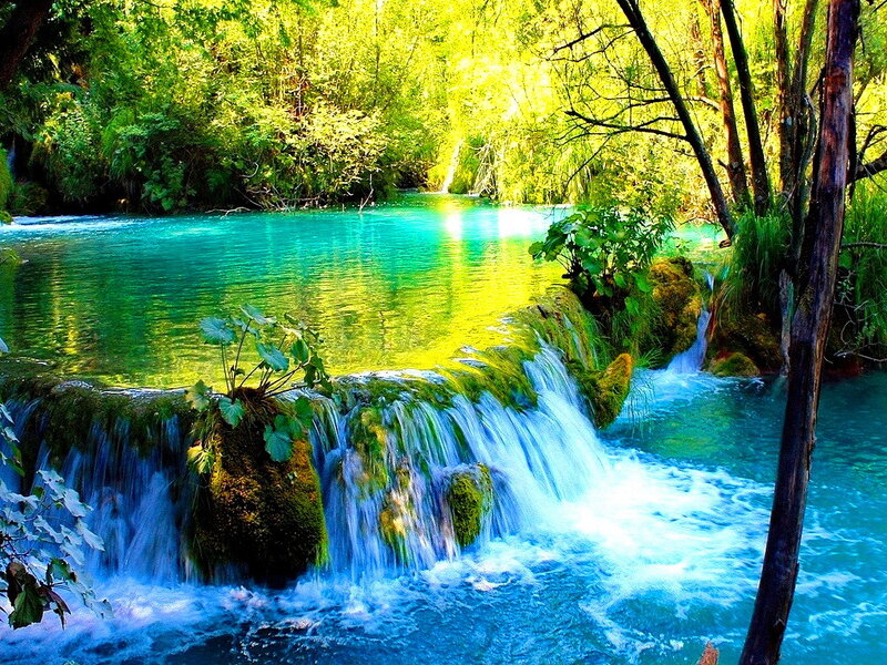 Turquoise Waterfall in Forest — Blue, Serene, Afternoon