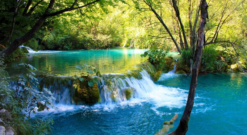 Turquoise Waterfall in Forest — Blue, Serene