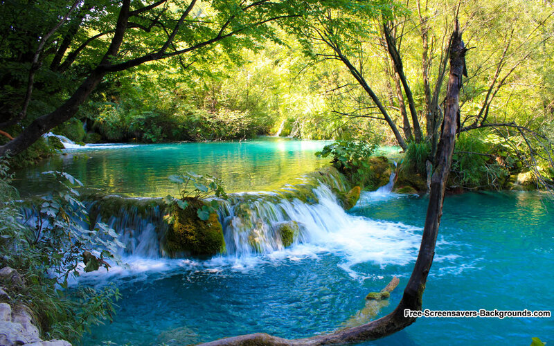 Turquoise Waterfall in Forest — Blue
