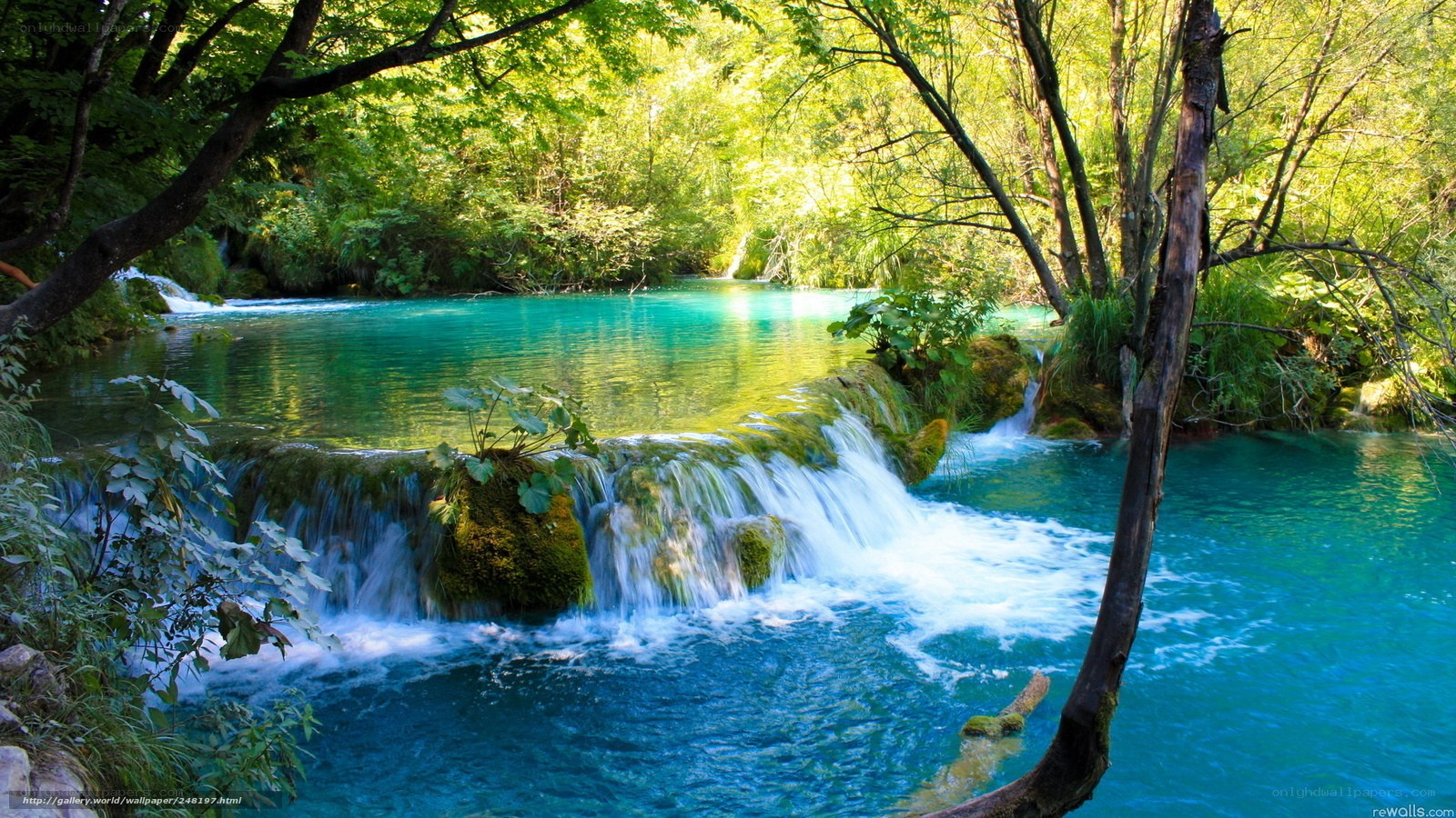 Turquoise waterfall in forest
