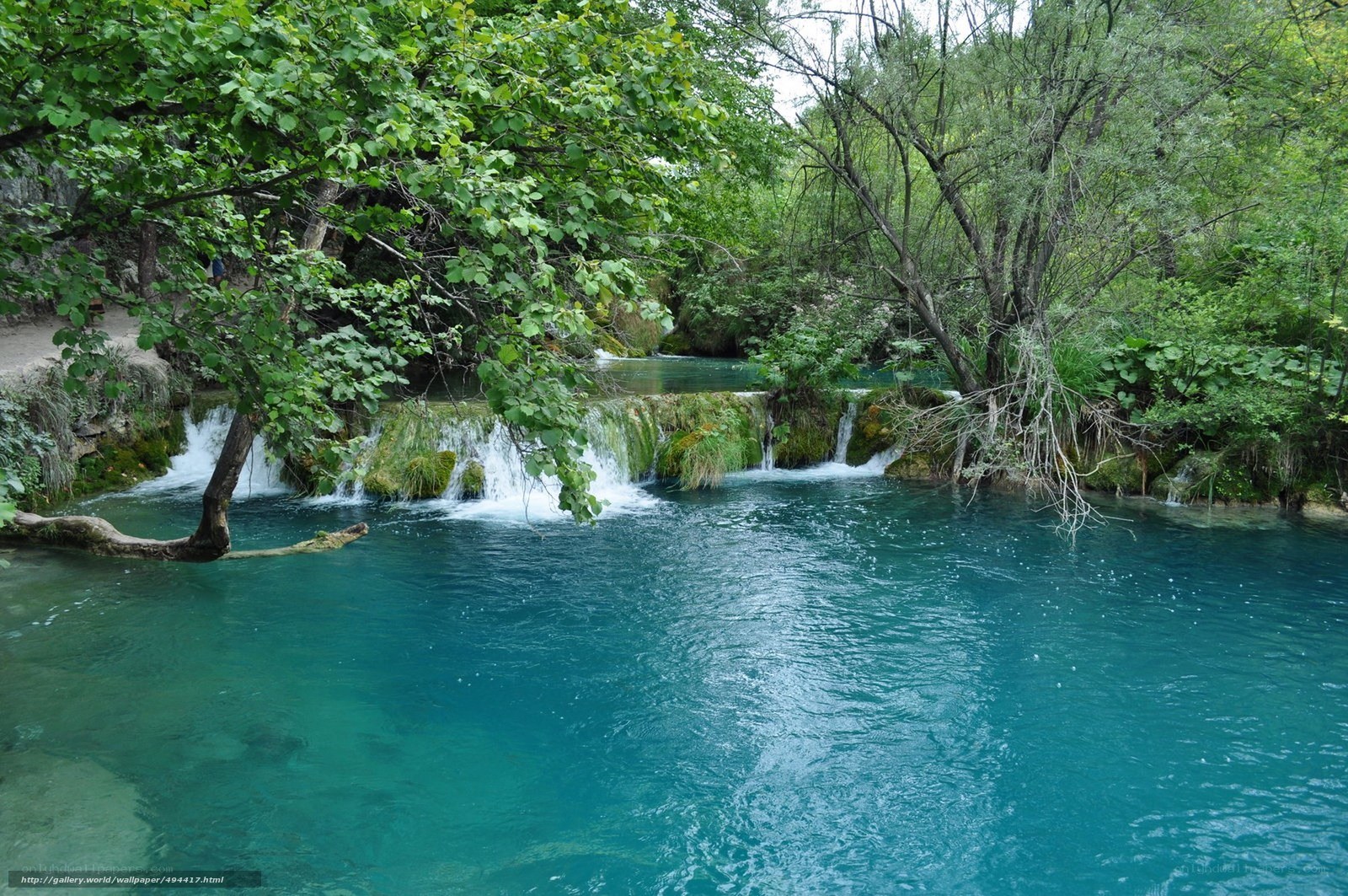 Turquoise waterfalls in forest