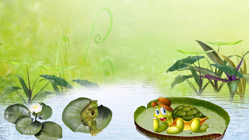 Turtle and Frog on Lily Pads