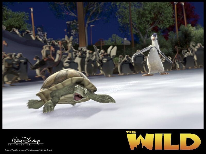Turtle and penguin on ice