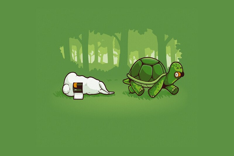 Turtle and Rabbit