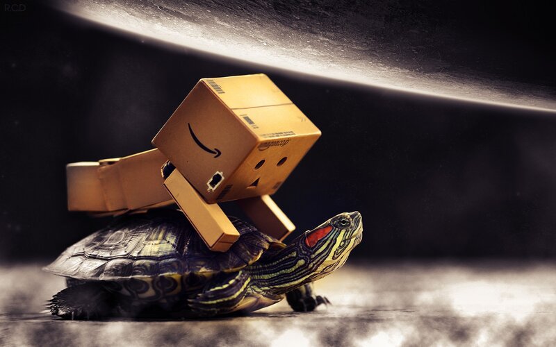 turtle carrying a cardboard robot