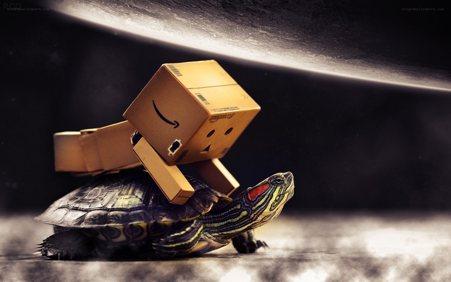 turtle carrying a cardboard robot